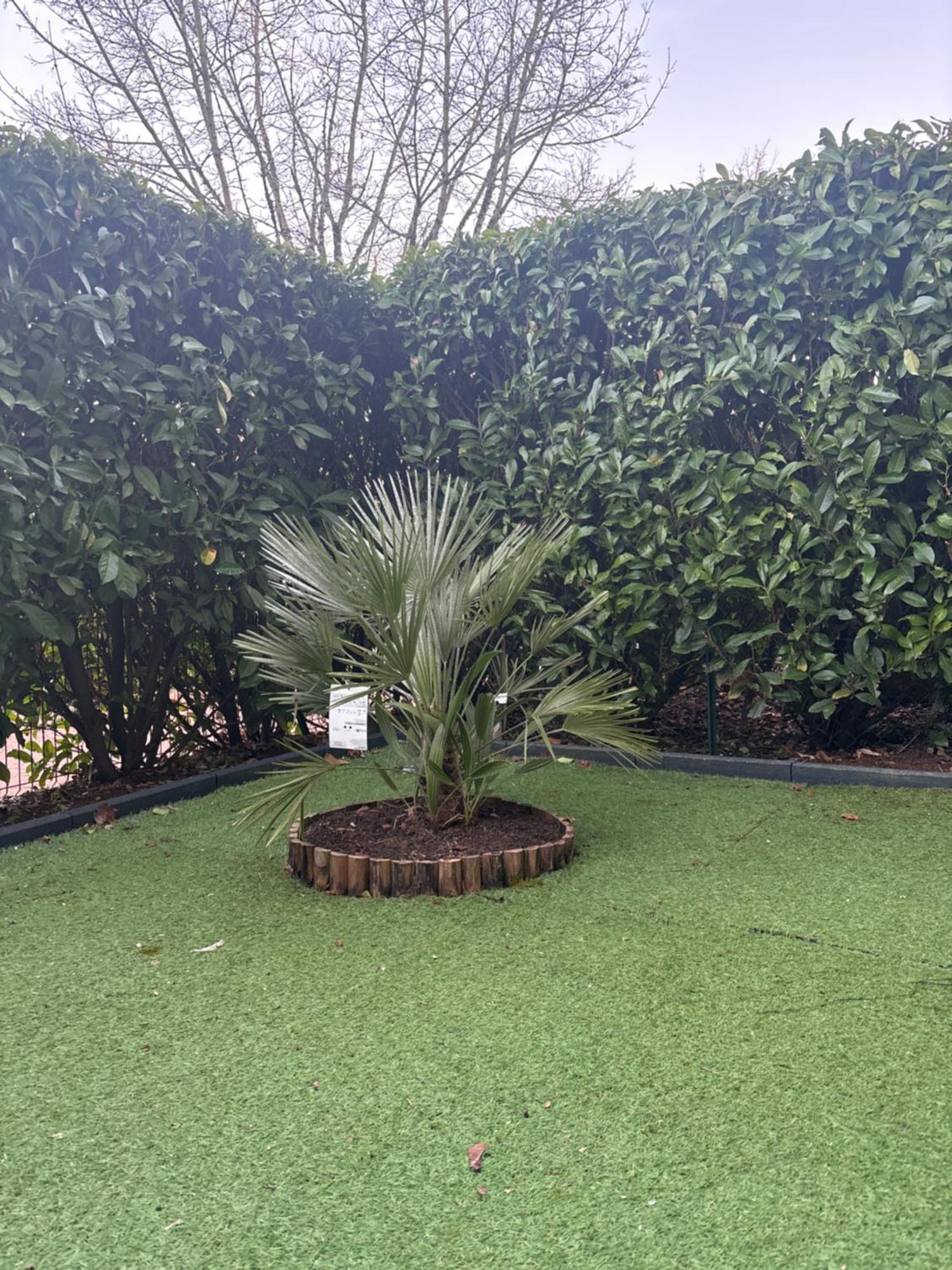 Romantisme Et Glamour Avec Spa ,Jardin Proche Zenith Dijon Bagian luar foto